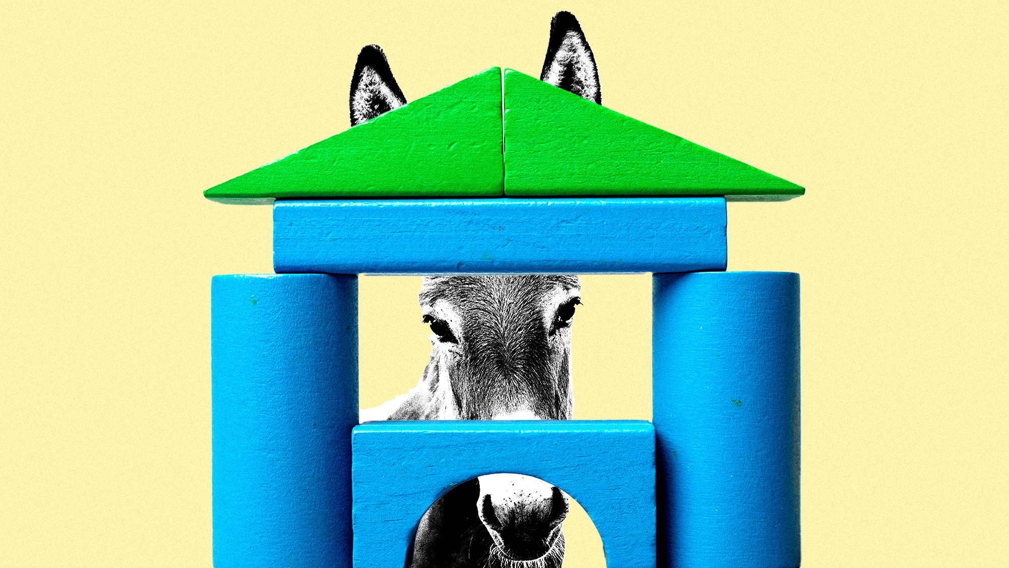 The Problem With Democrats’ Favorite Policy Proposal