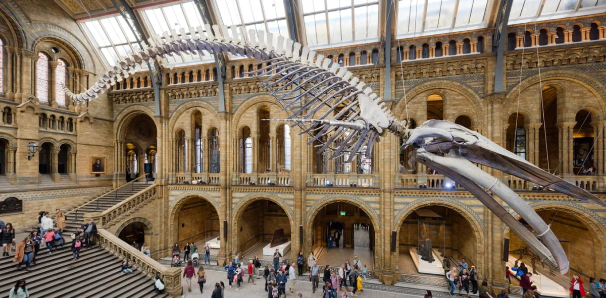 The ‘Father of Modern Taxidermy’ wrestled leopards and worked for P.T. Barnum